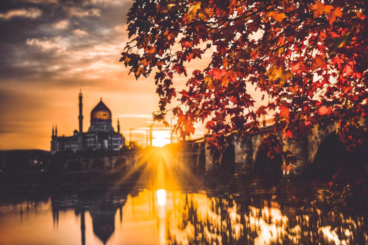 Gaestezimmer In Dresden Mit Dach-Terrasse, Wohnbereich Und Kueche Appartement Buitenkant foto